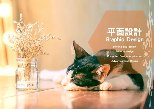 JOBALL找專家作品 [平面設計-DM/名片/banner] 的封面圖