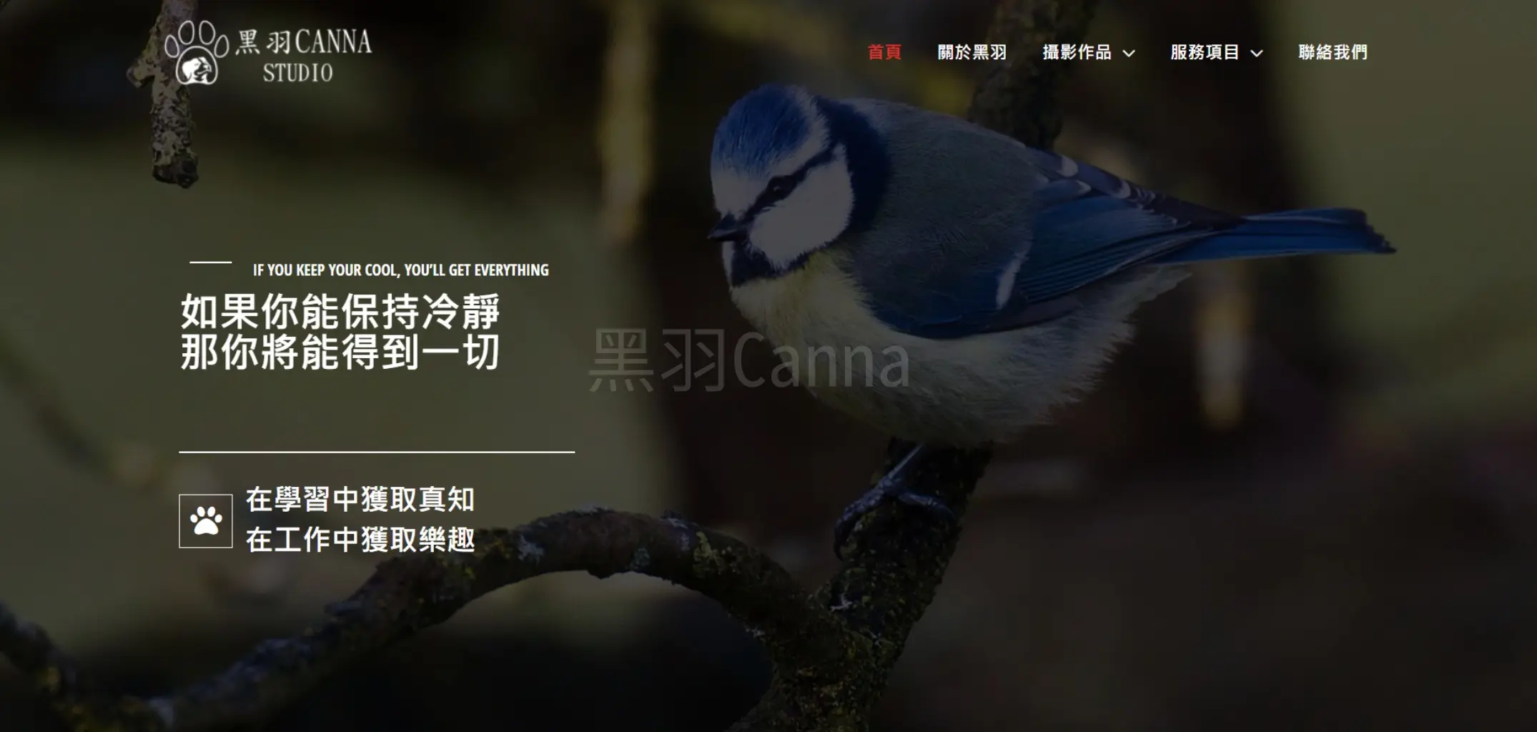 JOBALL找專家作品 [wordpress網站架設] 圖片 [1]