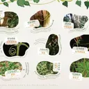 JOBALL找專家作品 [展覽主視覺設計 Exhibition Visual Design] 圖片 [2]