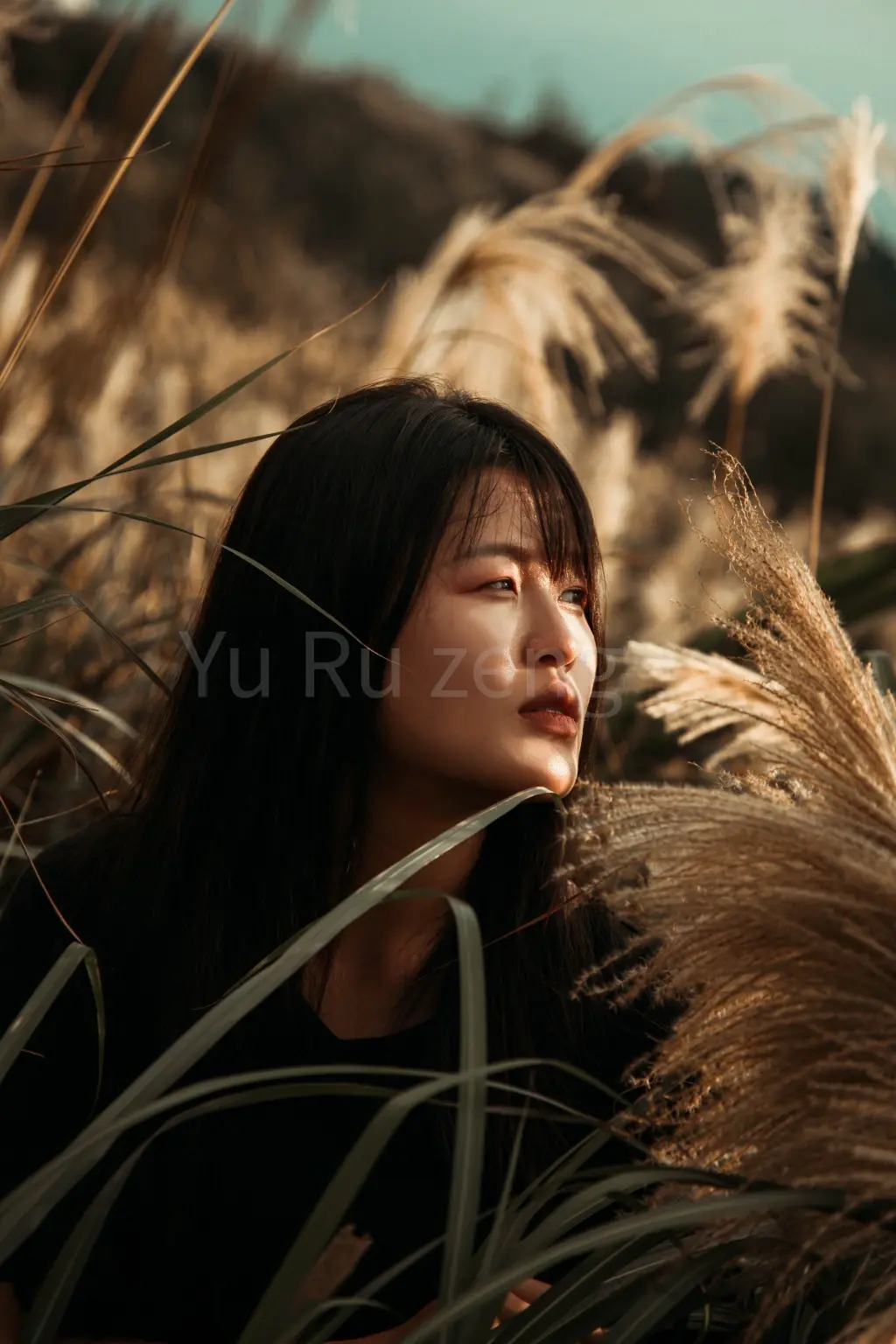 Yu Ru zeng | JOBALL找專家