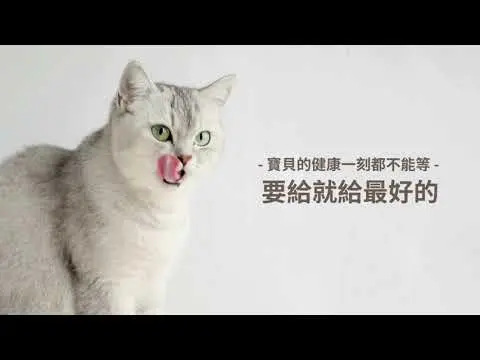 JOBALL找專家作品 [影片剪輯] 的封面圖