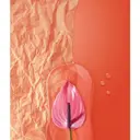 JOBALL找專家作品 [視覺創意] 圖片 [17]