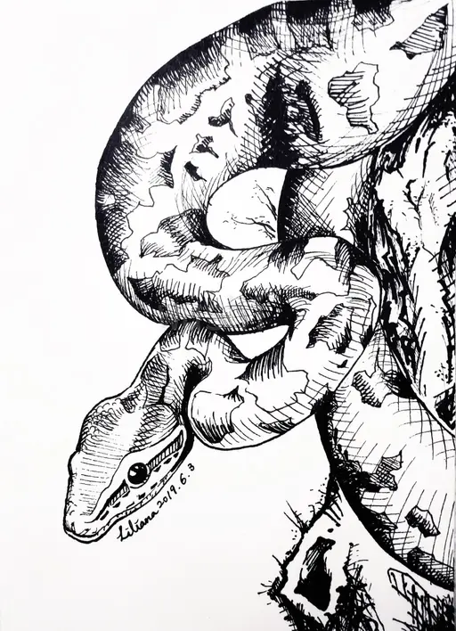 JOBALL找專家作品 [平面設計/插圖設計] 的封面圖