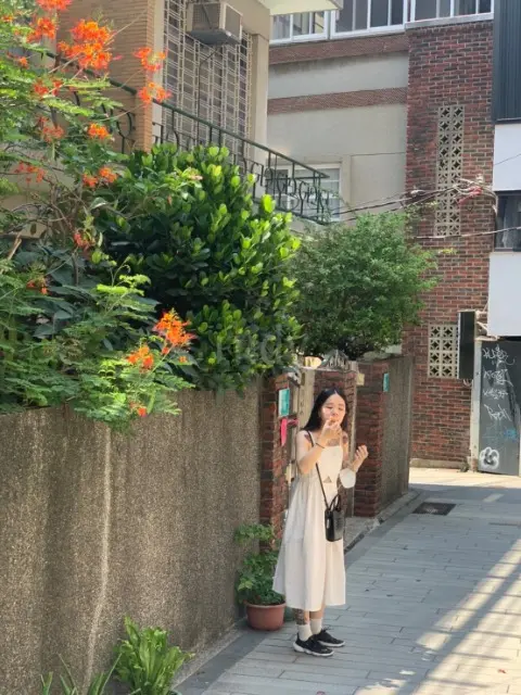 JOBALL找專家用戶 [sindy] 的頭像