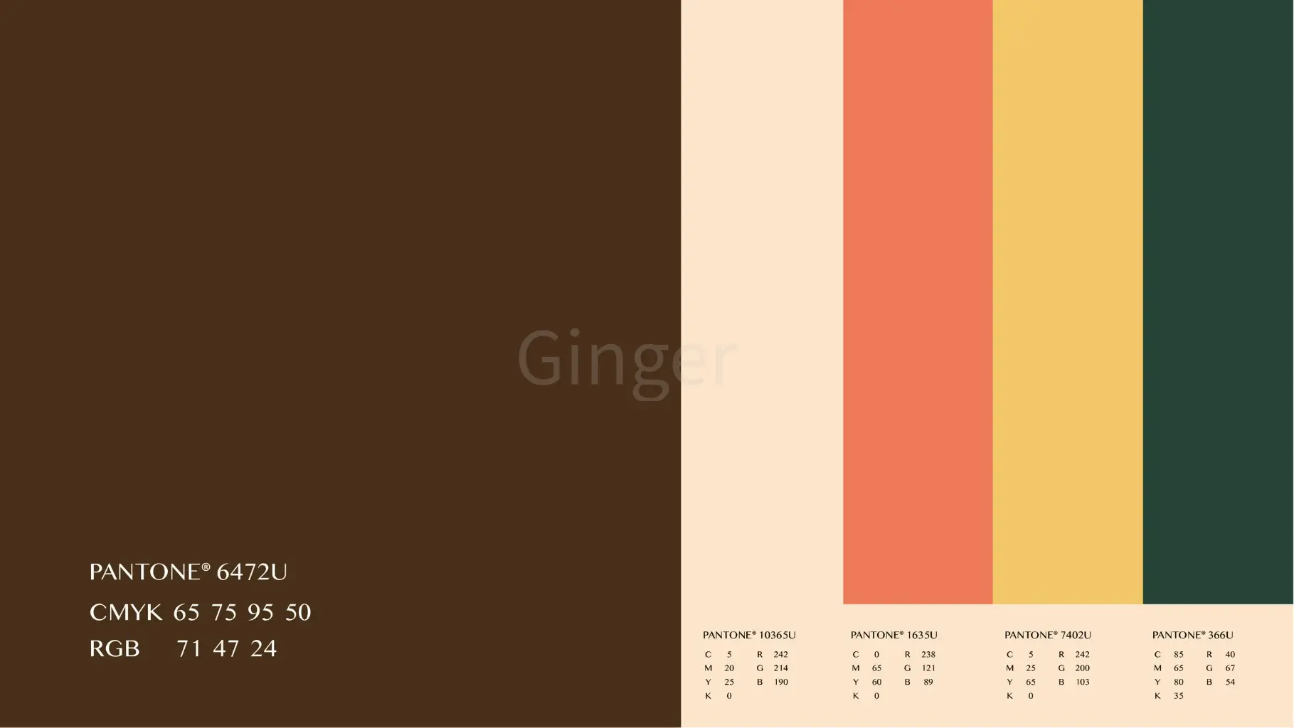 Ginger | JOBALL找專家