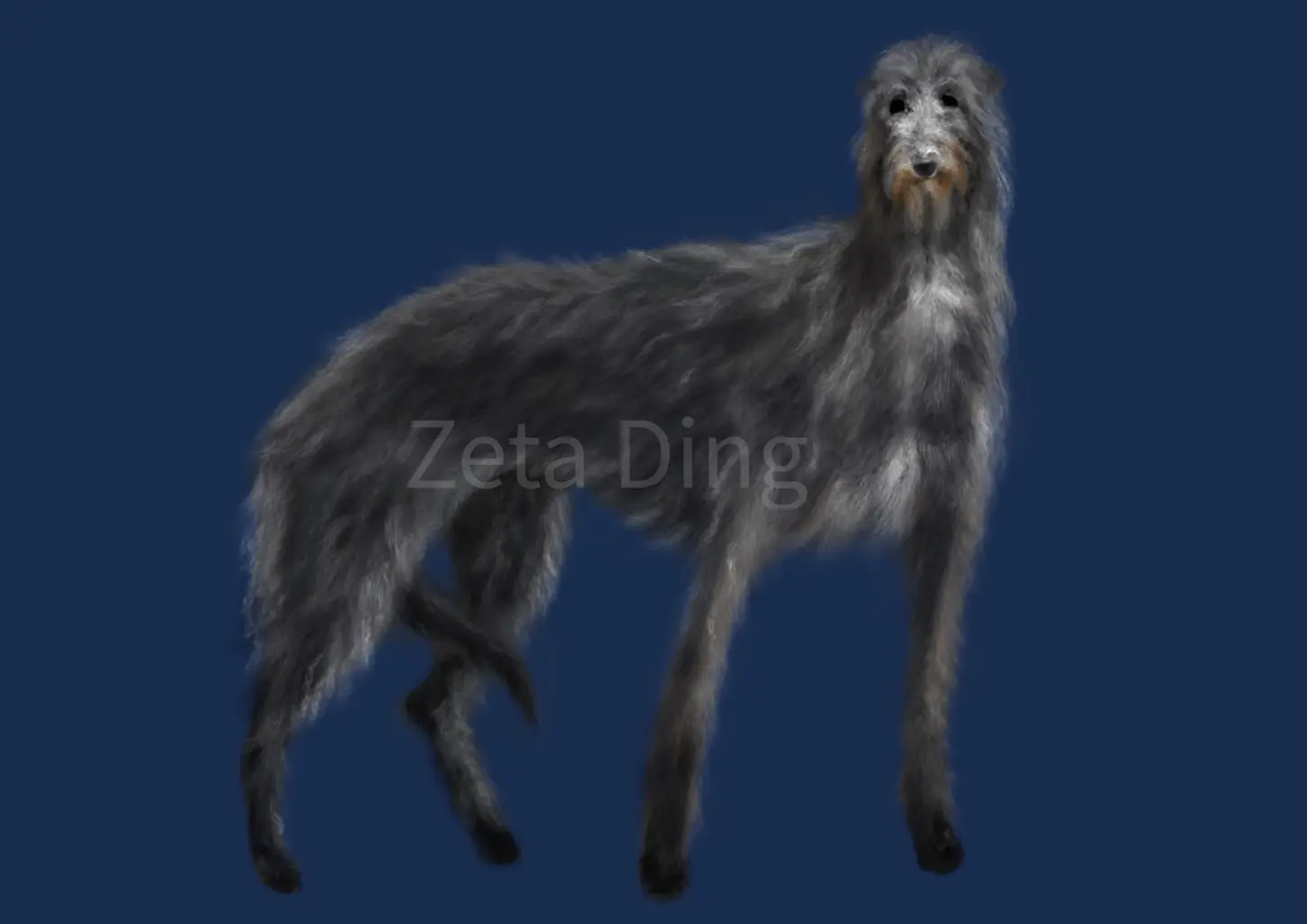 Zeta Ding | JOBALL找專家
