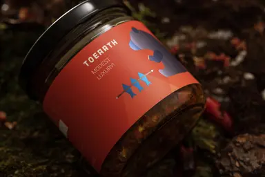 JOBALL找專家作品 [TOEARTH初沃｜恰如其分的生活，環境的永續追求] 的封面圖