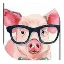 JOBALL找專家用戶 [CW0719] 的頭像