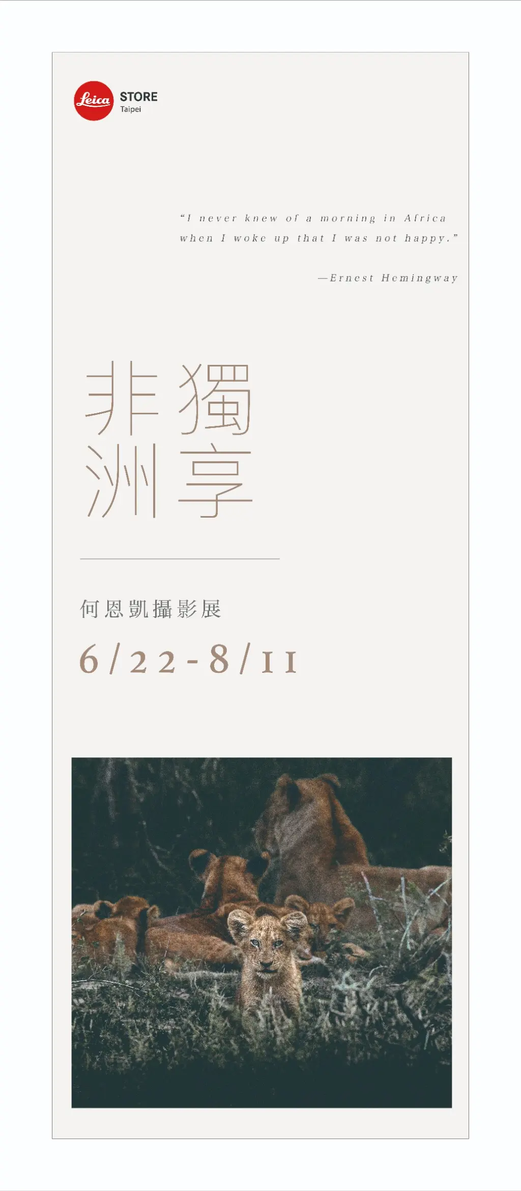 Dawn | JOBALL找專家