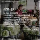 JOBALL找專家作品 [平面設計｜各大電商平台、fb圖卡、ig貼文、產品banner製作] 圖片 [3]