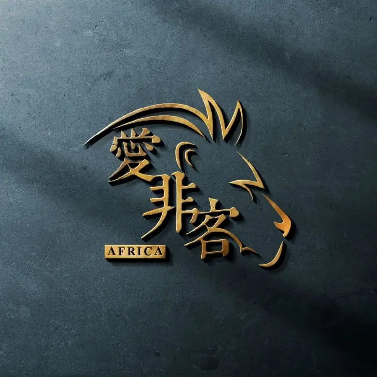 銳皇數位行銷設計 | JOBALL找專家