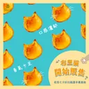 JOBALL找專家作品 [圖文設計] 圖片 [7]