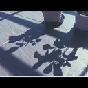 JOBALL找專家作品 [廣播/旁白/配音] 圖片 [1]