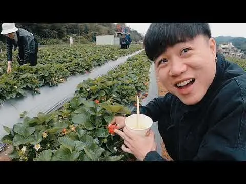 JOBALL找專家作品 [Chun Wen VLOG #5 跨年囉！] 的封面圖