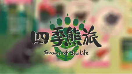 JOBALL找專家作品 [四季熊旅] 的內容