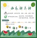 JOBALL找專家作品 [平面設計｜各大電商平台、fb圖卡、ig貼文、產品banner製作] 圖片 [10]
