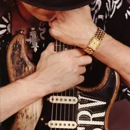 Stevie Ray Vaughan The Best Solo-JOBALL找專家