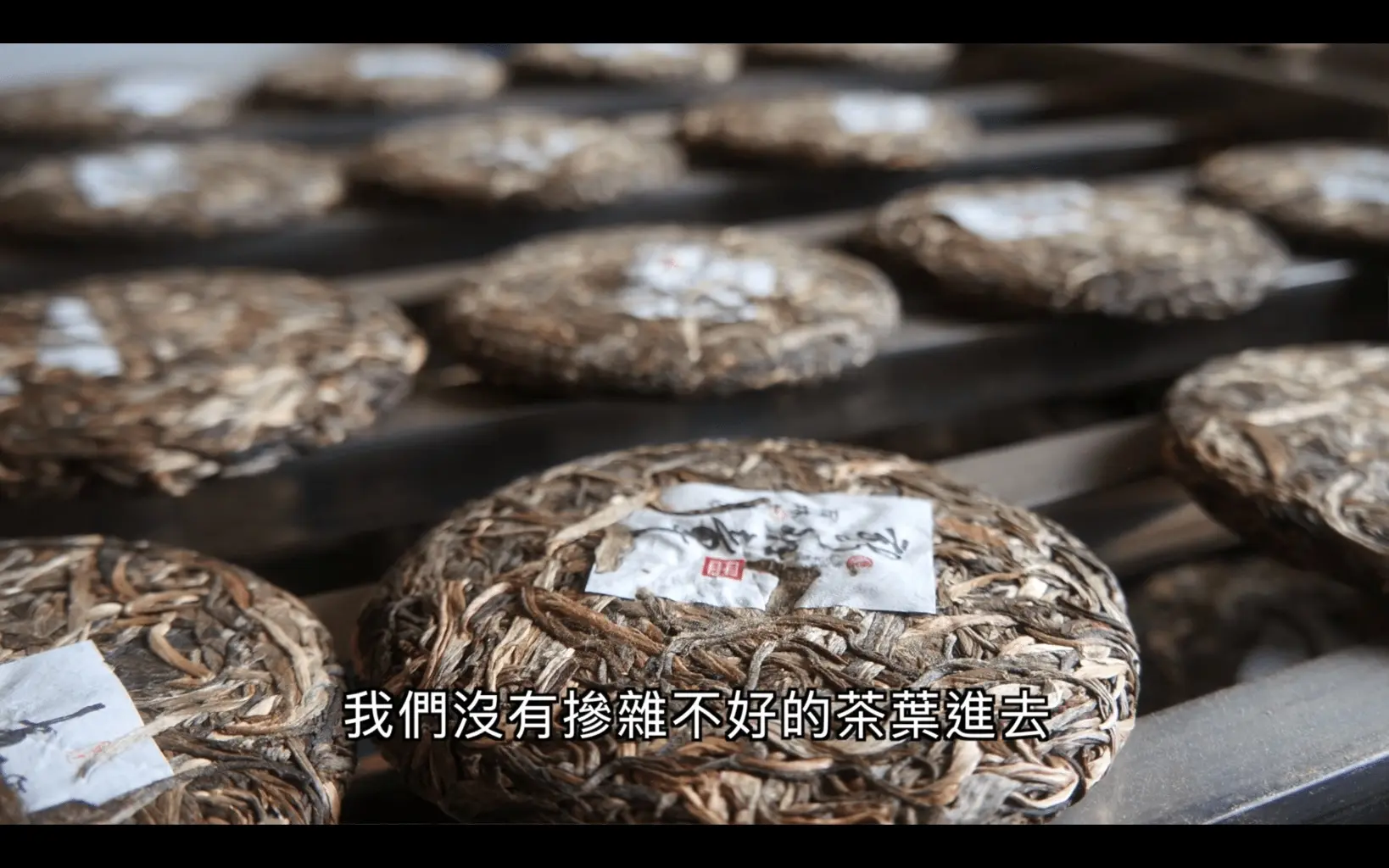 JOBALL找專家作品 [【廠商理念介紹】雲南雨林古樹茶｜里仁｜Video] 圖片 [0]