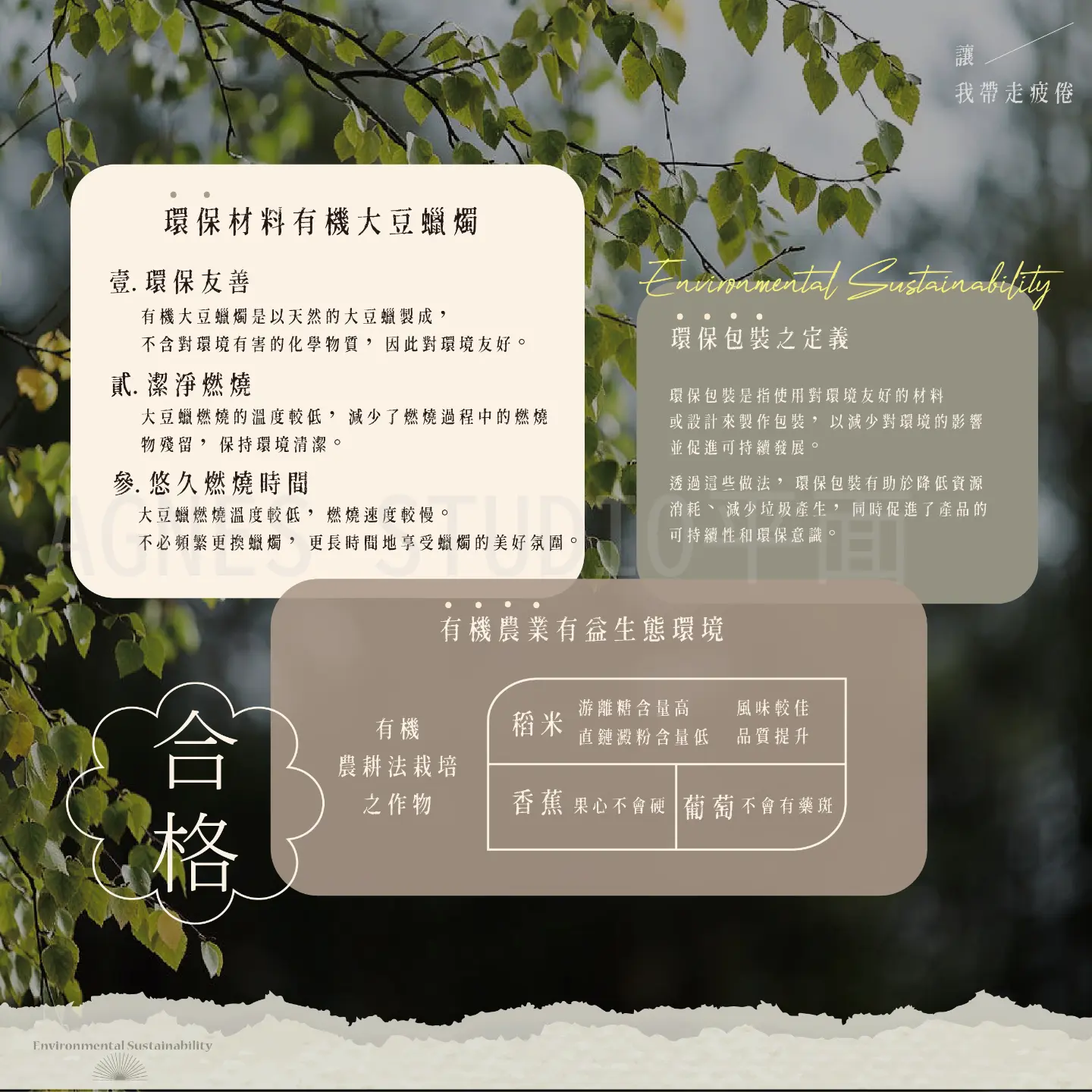 AGNES STUDIO平面設計工作室 | JOBALL找專家