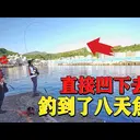 JOBALL找專家作品 [【港口磯釣】終於釣到了八天魚！！釣起來的瞬間感動到只差沒流淚！] 圖片 [0]